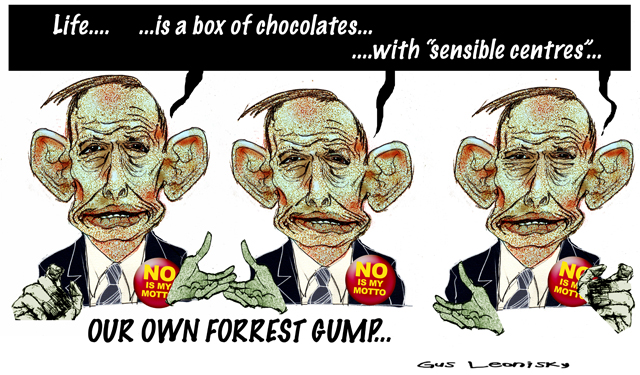 chocolates
